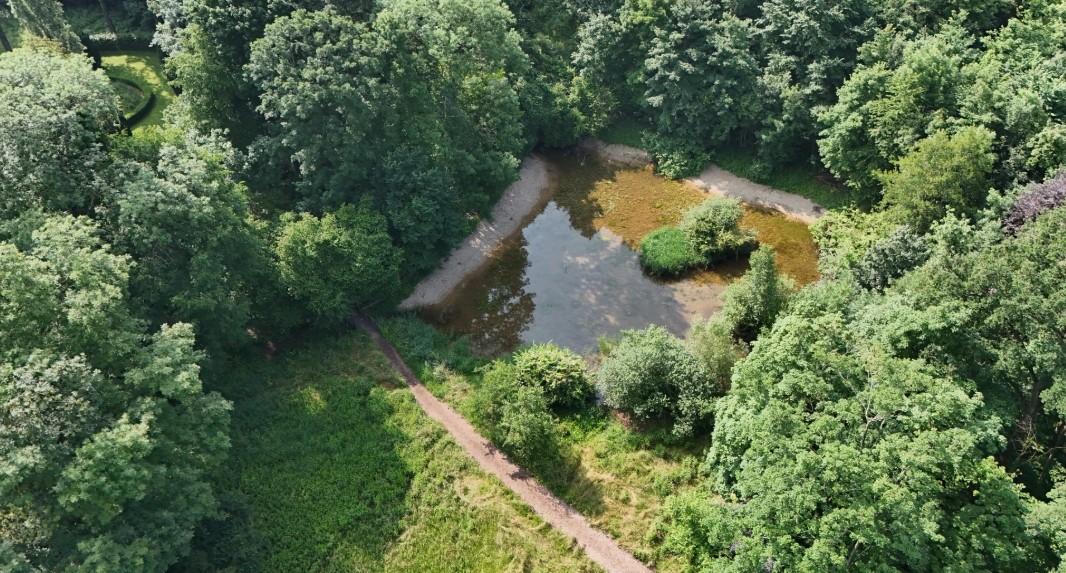 L'étang du Bourget est restauré pour accueillir à nouveau la biodiversité.