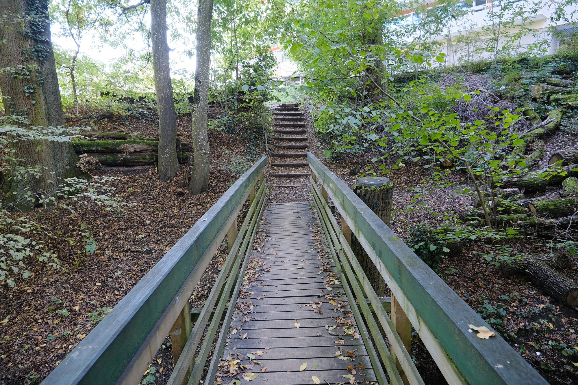 Passerelle Nant Manant