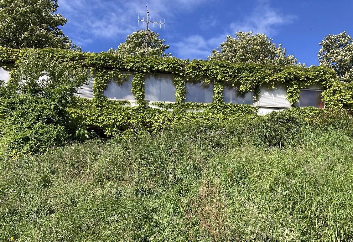 Vue depuis les voies CFF, la façade de la villa est aujourd’hui entièrement recouverte de vigne vierge, dissimulant son architecture et l’intégrant littéralement dans son environnement.