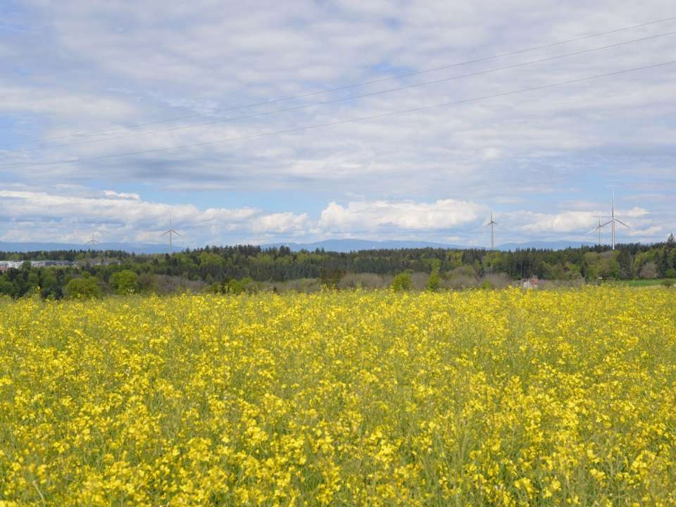 Le parc éolien EolJorat Sud a finalement obtenu le permis de construire cantonal.