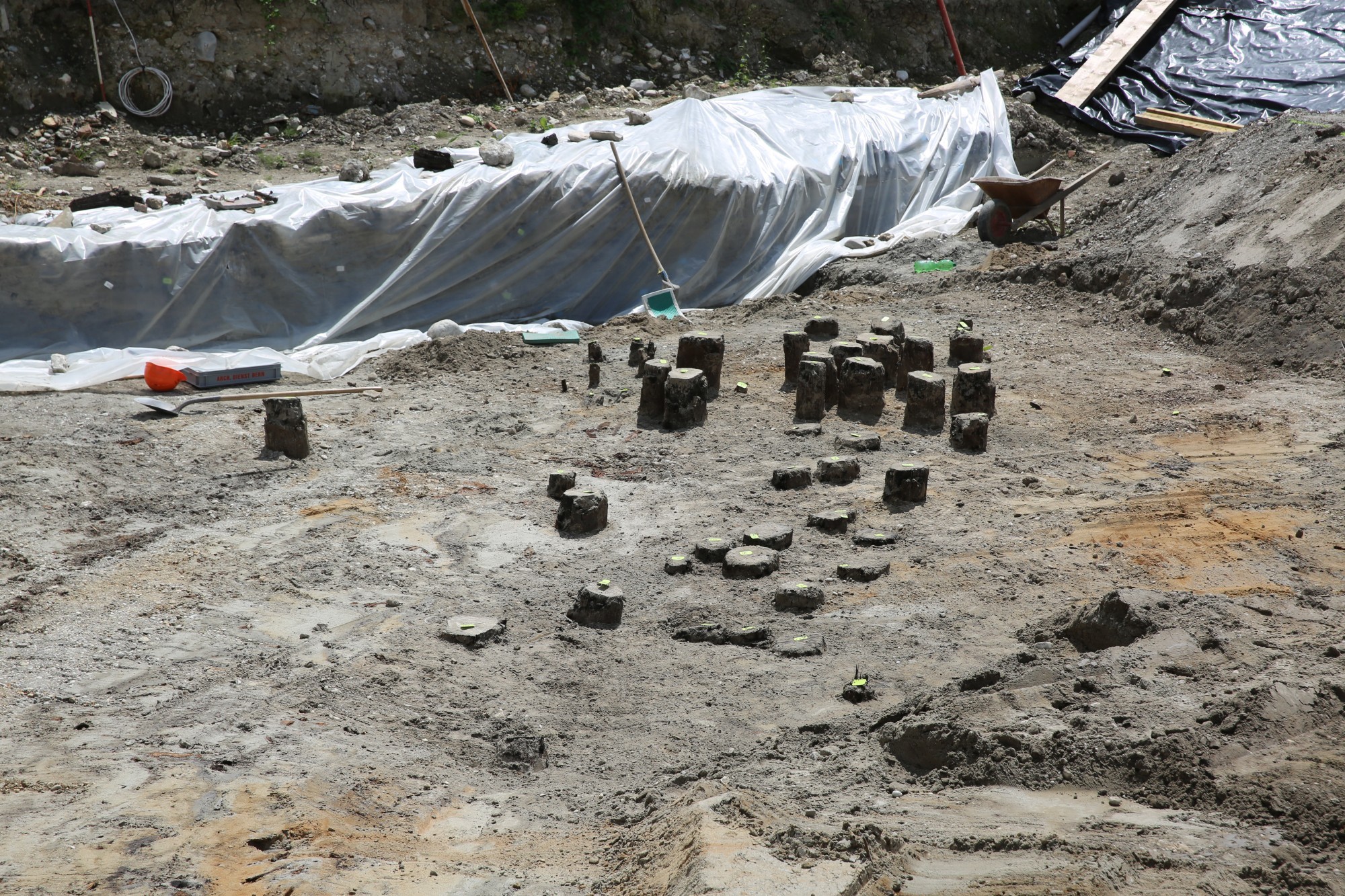 Une fouille archéologique sur un chantier à Aegerten a mis au jour les vestiges des piles d’un ancien pont romain. Des échantillons ont été prélevés sur chaque pieu afin d’en déterminer l’âge.
