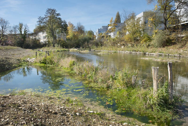 Delémont Morépont 2