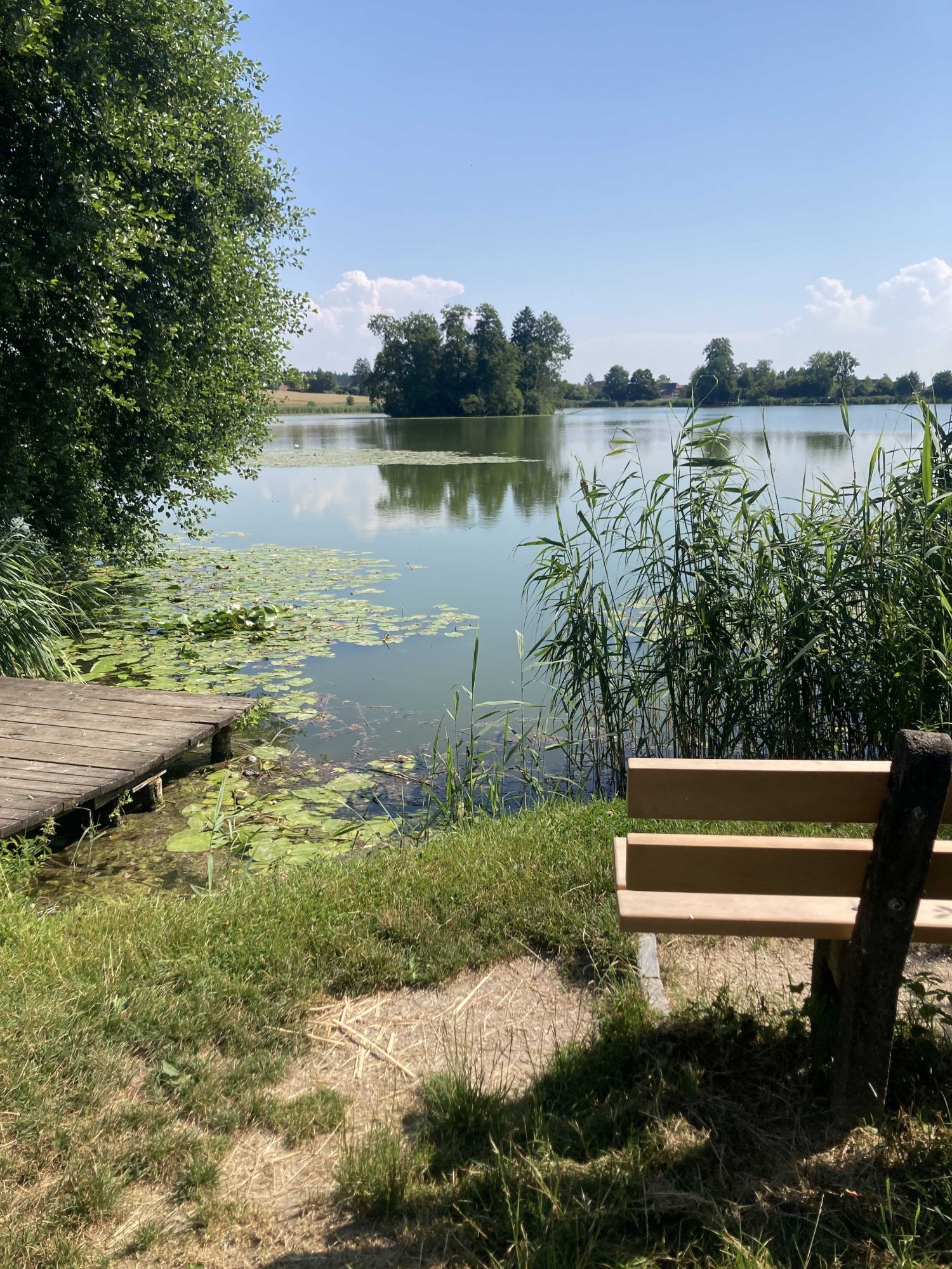La grande île du lac d’Inkwil est un site archéologique d’importance internationale.