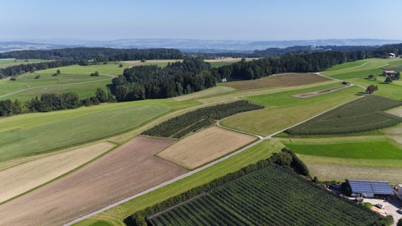 Projet éolien Wil