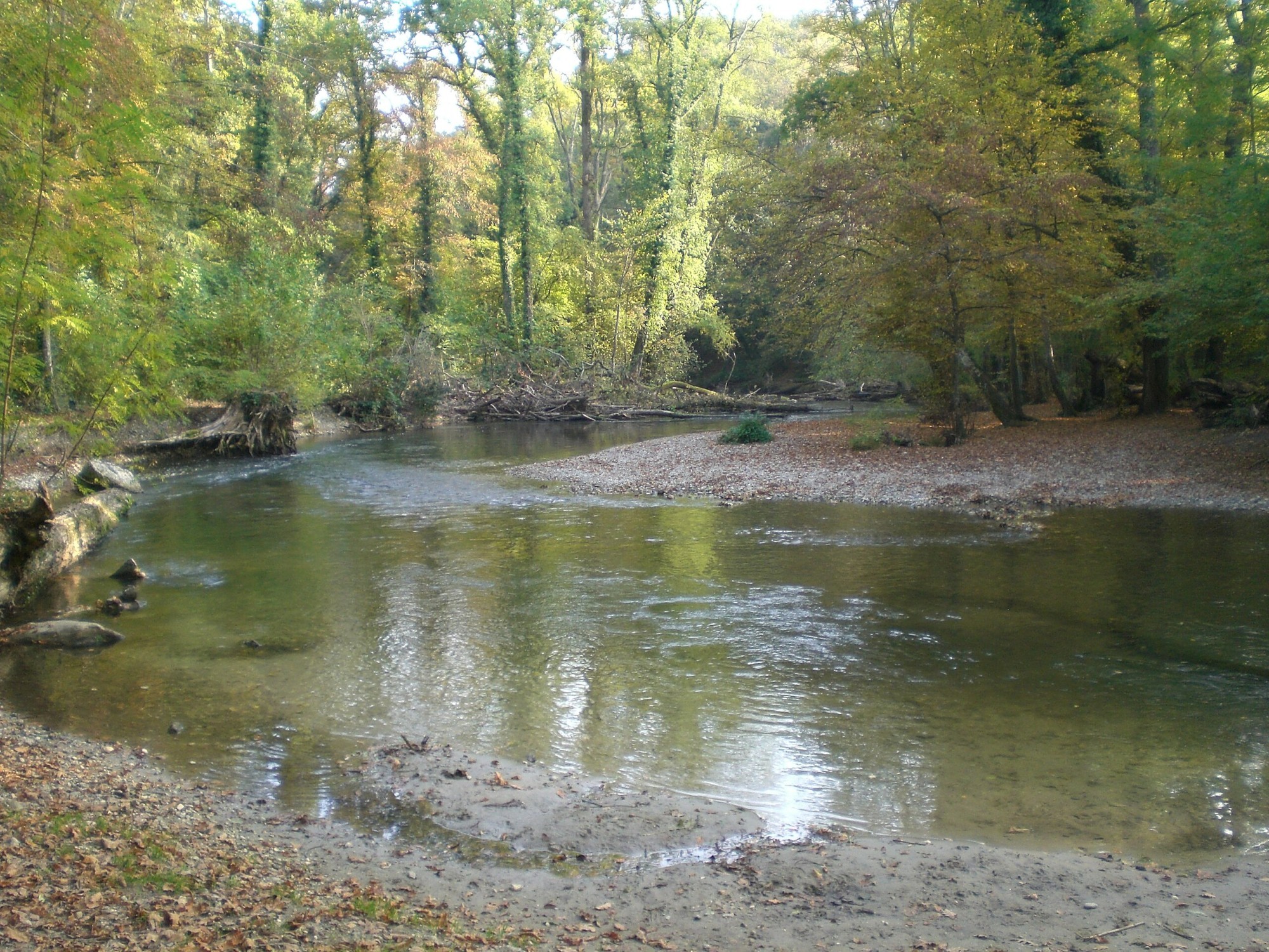 Versoix
