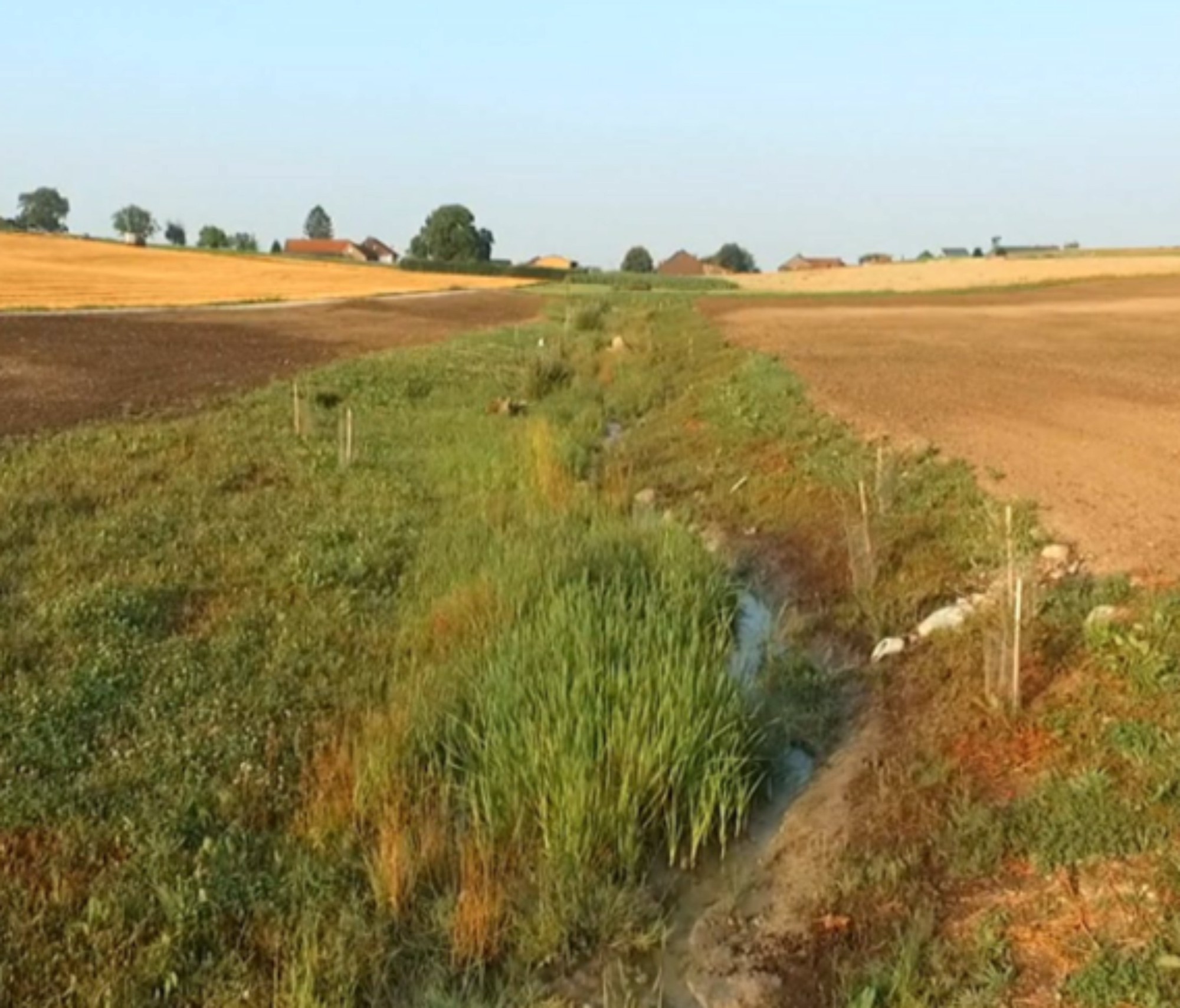 Biodiversité VD 2