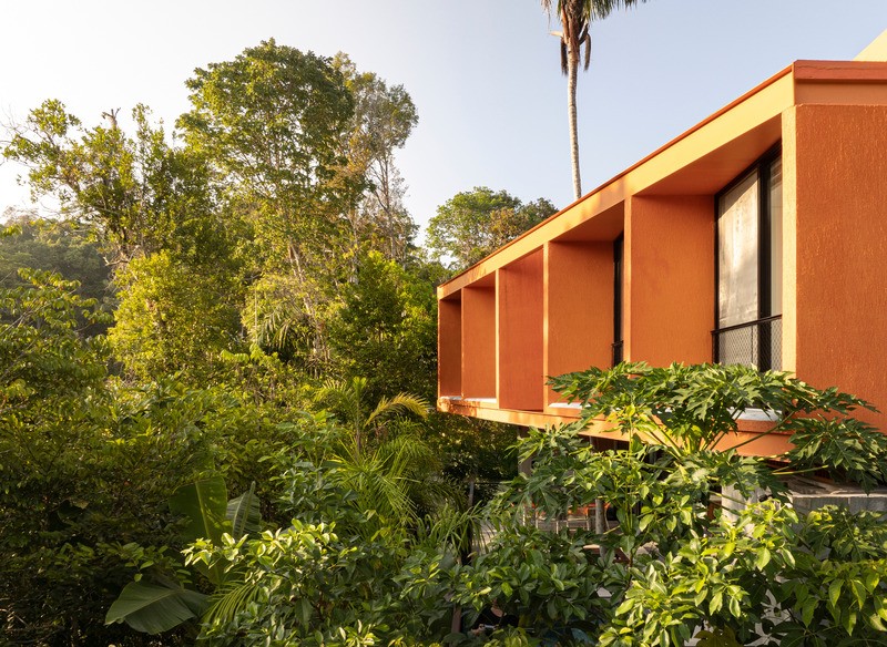 Le projet met en valeur la flore amazonienne et préserve la biodiversité dans une résidence parfaitement intégrée au paysage.