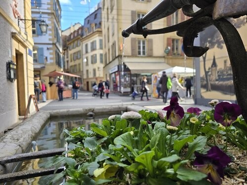 Neuchâtel lance un appel à projets pour l’exploitation de nouveaux emplacements saisonniers à la rue du Seyon.