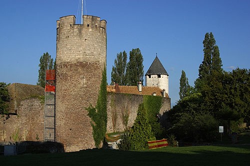 Château Tour de Peilz