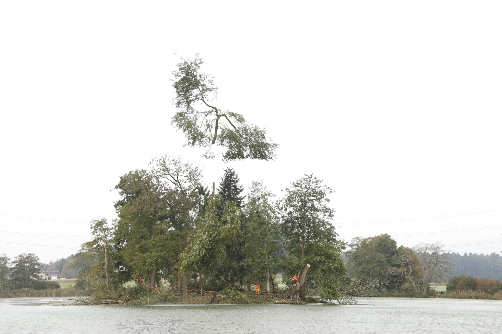 En octobre 2025, des travaux de défrichement ont été réalisés à l’aide d’un hélicoptère et les sous-bois nettoyés en vue des mesures de protection sur l’île du lac d’Inkwil.