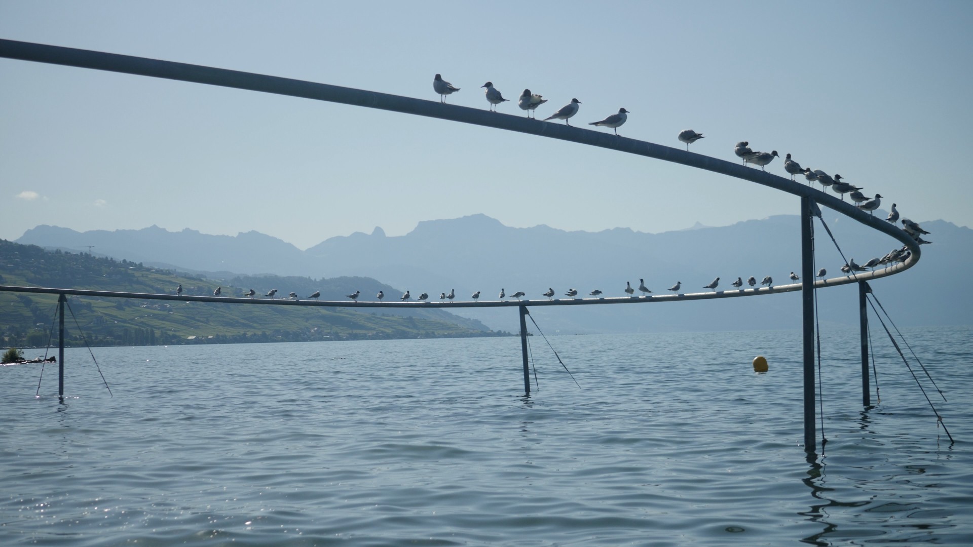 Le Cercle des oiseaux figure au palmarès de l’Arc Award 2025, un concours d’architecture organisé par Swiss-Architects.