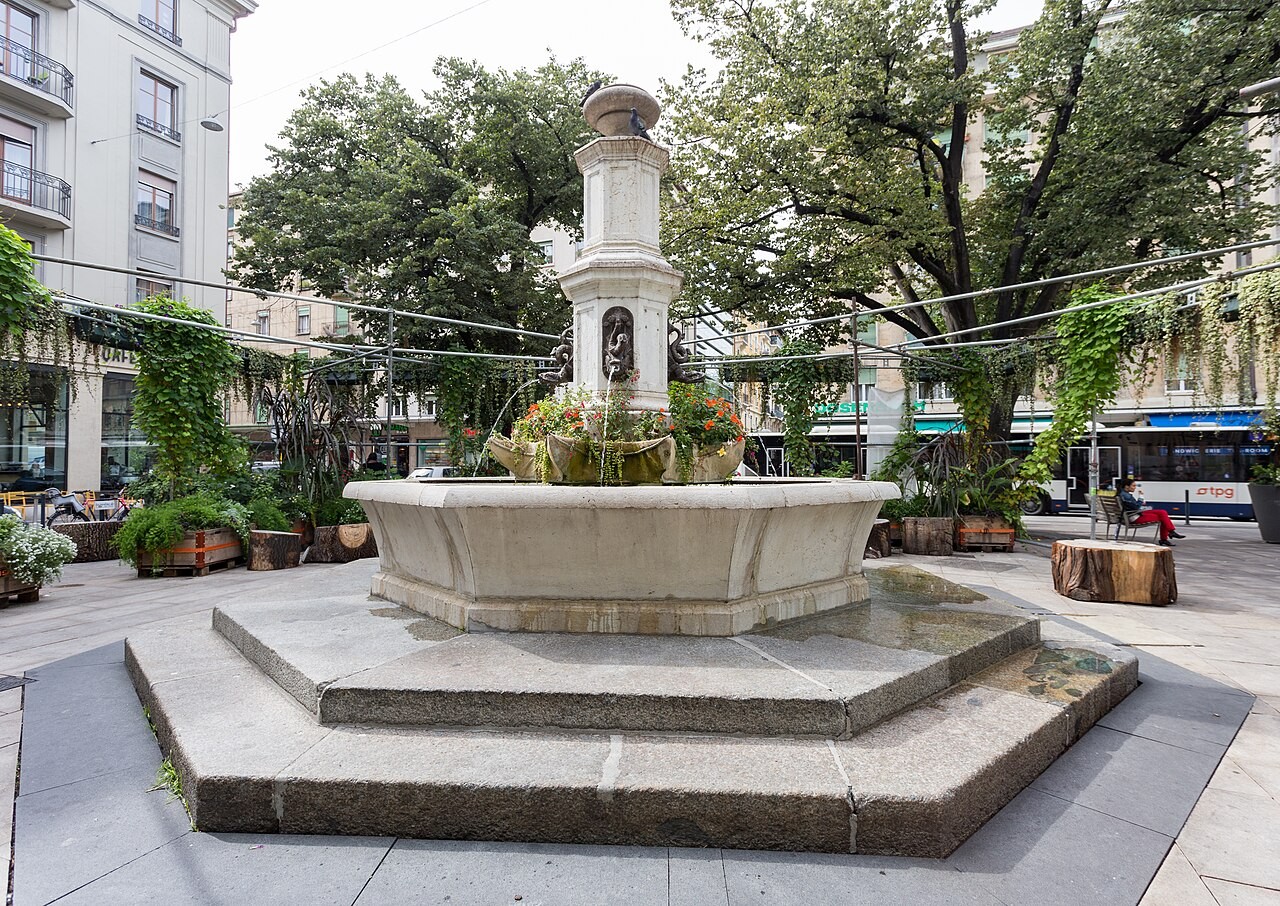 Des arbres dangereux sont destinés à être abattus à la place de la Navigation et dans d’autres secteurs de la ville de Genève