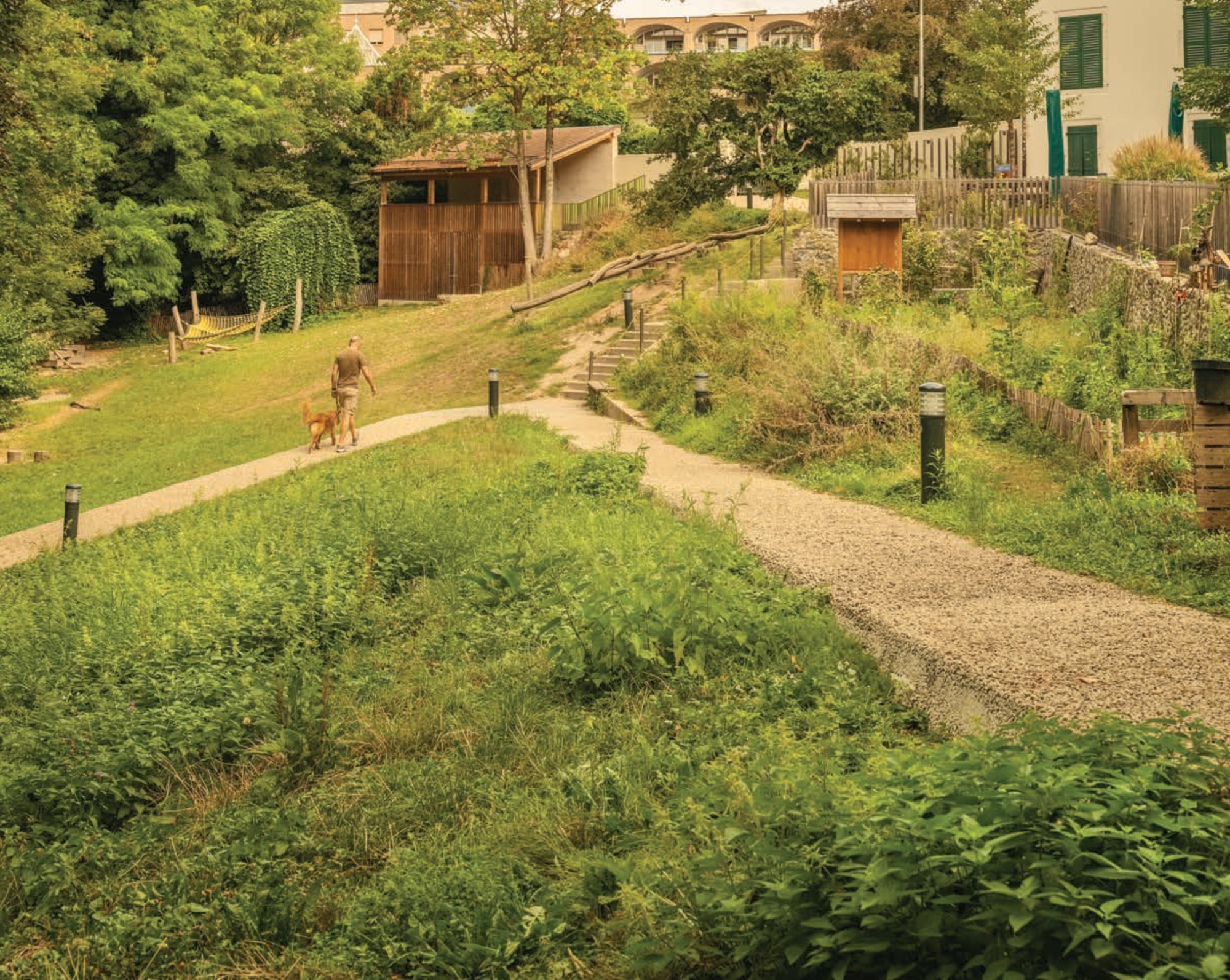 Stratégie végétalisation Nyon