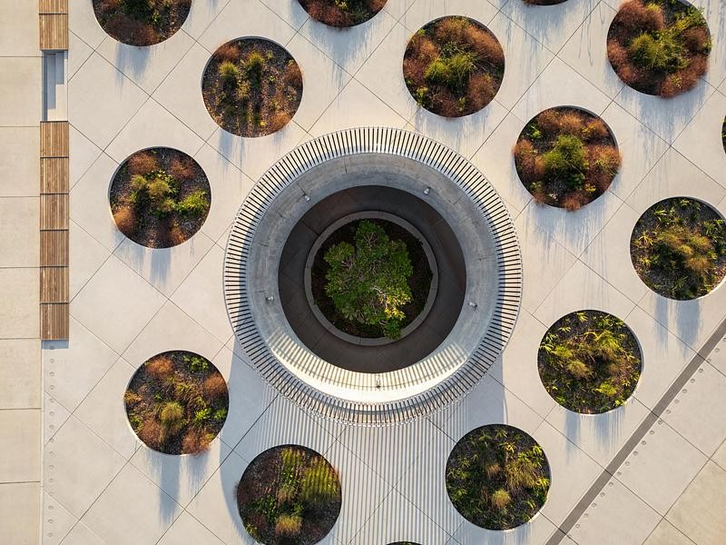 Par l’oculus et la forêt urbaine, la nature s’invite au cœur de la structure et dévoile la profondeur du site.