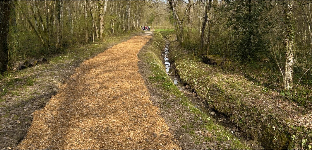 La piste de galop de Jussy, au cœur de la forêt genevoise, respecte le milieu forestier.
