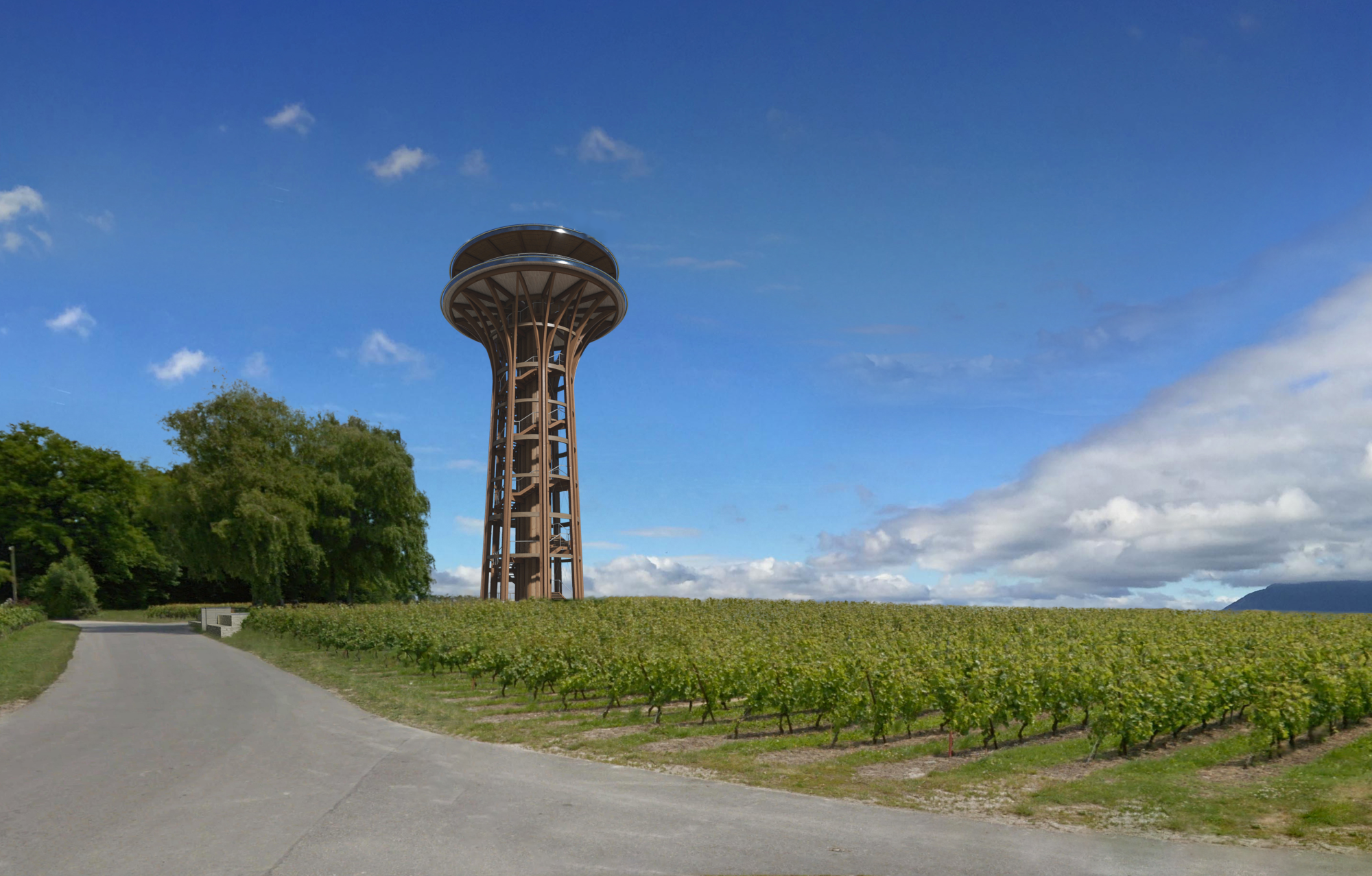 Tour en bois Satigny 1