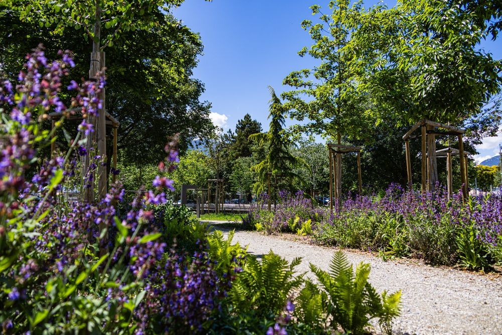 Une mise en valeur végétale soignée au parc des Anciens Abattoirs.