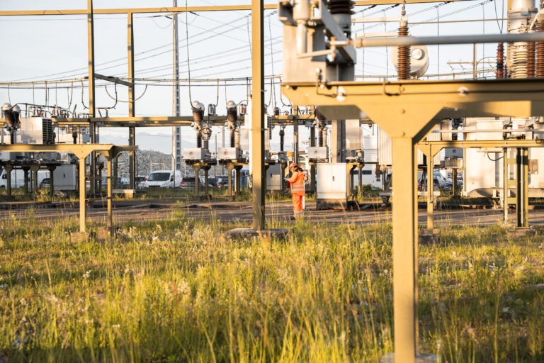 La sous‑station SBB Energie de Bussigny développe des habitats favorables à la biodiversité.