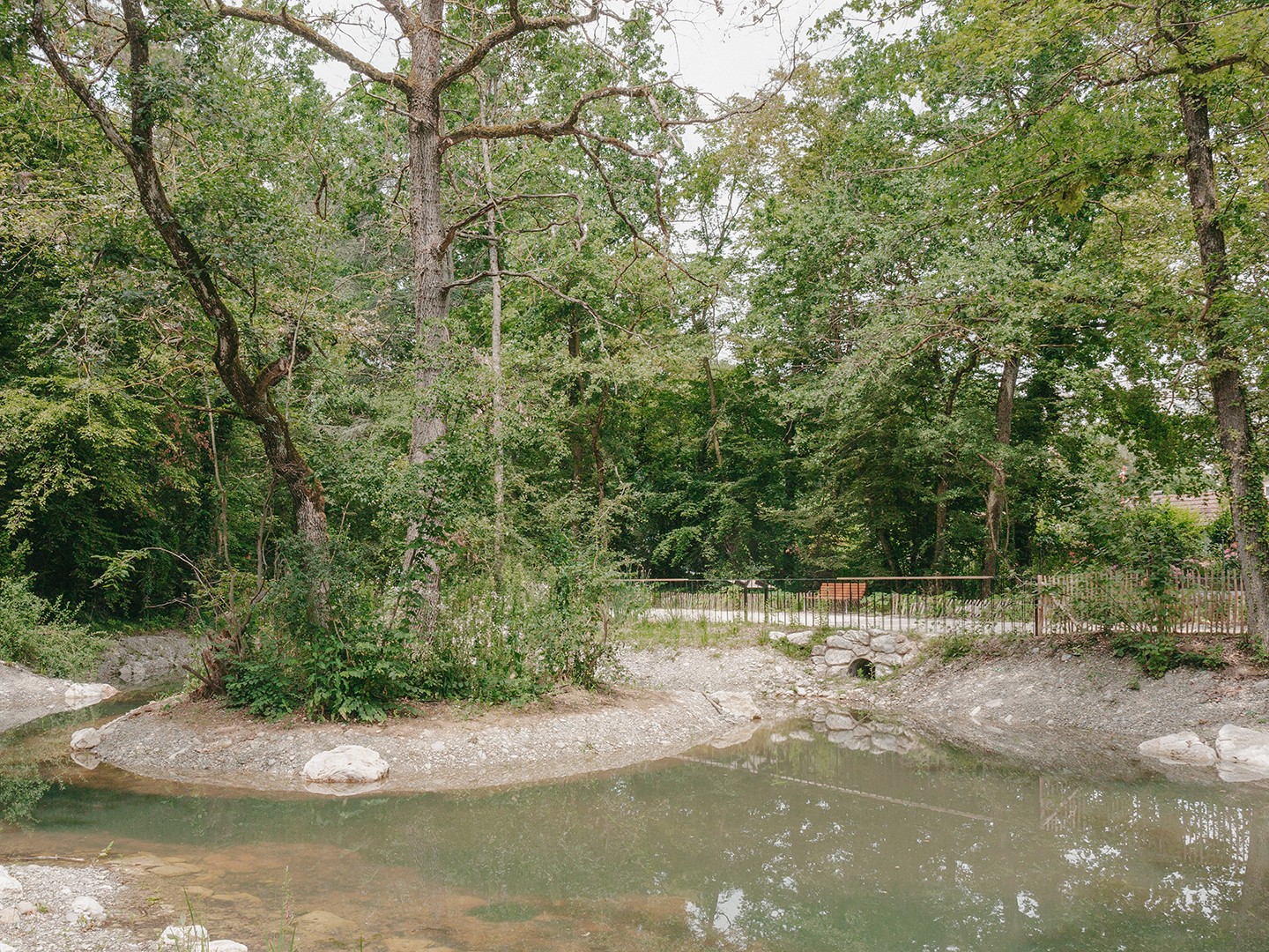 Forêt urbaine Vernier 2