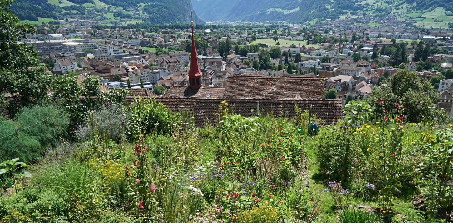 Patrimoine suisse décerne le prix Shulthess des jardins 2026 à l'association kulturkloster altdorf.