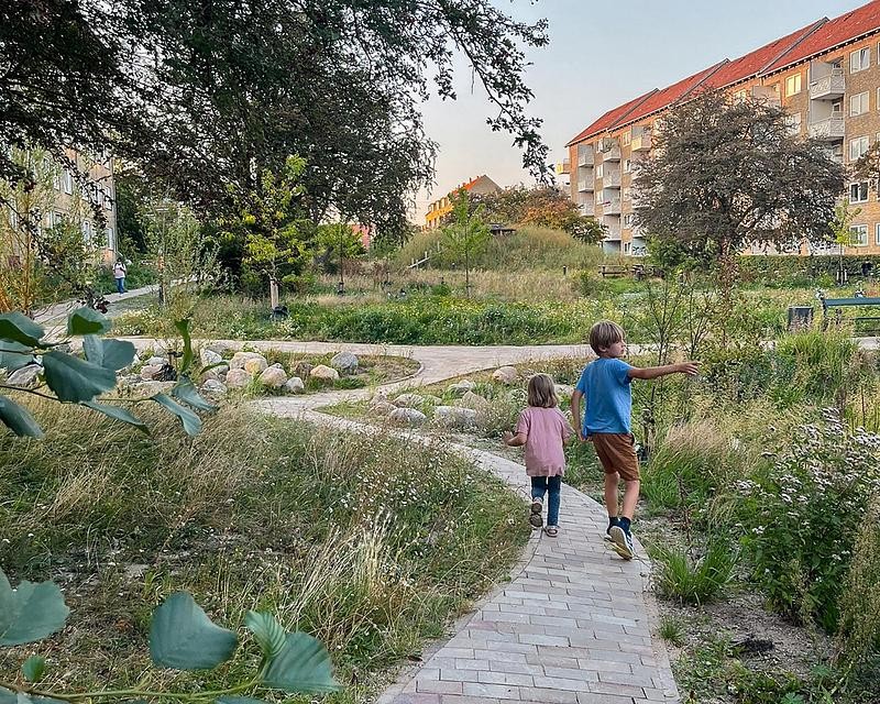 Paysages naturels, noues végétalisées et arbres locaux composent ce nouveau parc climatique de Copenhague.