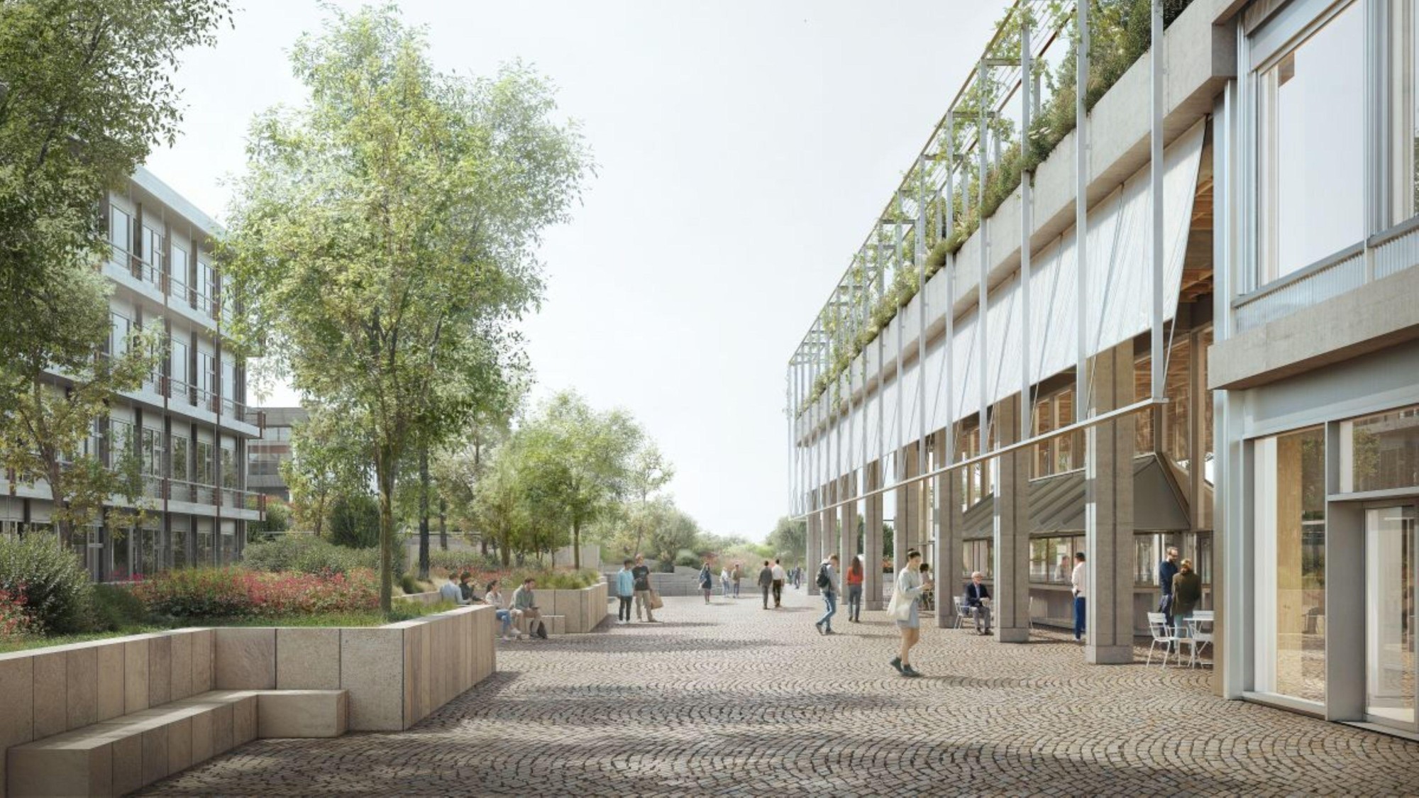 L’accès au bâtiment se fera par un hall d’entrée surmonté d’une terrasse végétalisée.