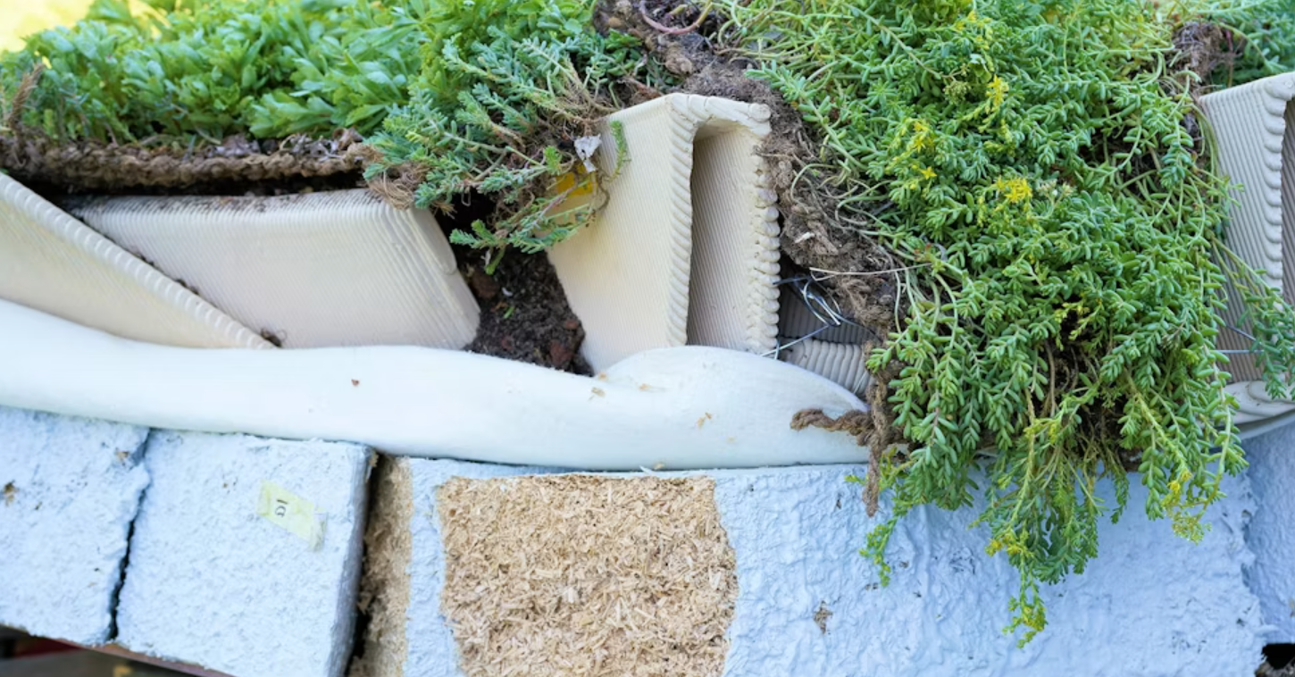 Composition du prototype installé sur la couverture en coque mince en béton : de bas en haut, pare‑vapeur (non visible), 20 cm d’isolation en mycélium, tuiles en grès imprimées en 3D, substrat, puis végétation. Remarque : dans cet exemple, le mycélium n’a