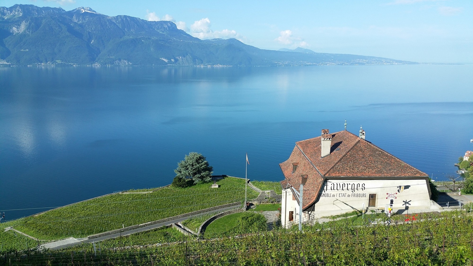 Vrai balcon sur le Léman, le domaine des Faverges — propriété du canton de Fribourg — doit être complètement transformé pour valoriser sa production.