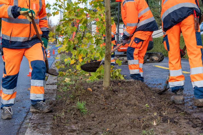 La Ville poursuit sa stratégie de végétalisation afin d'accroître les zones d'ombre et d'adapter le territoire au changement climatique.
