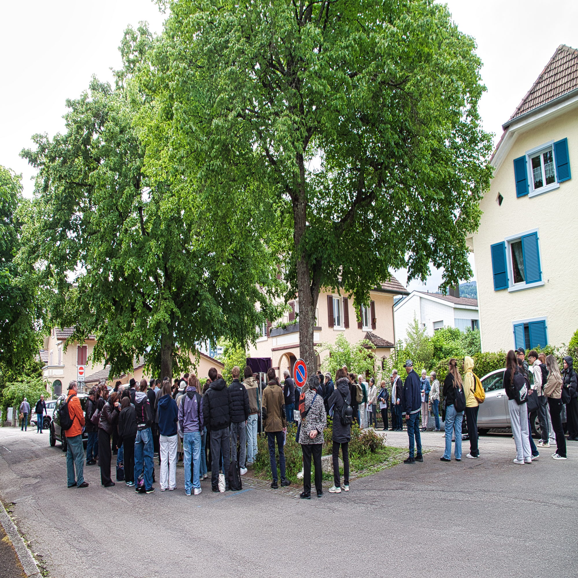 Arbres Bienne