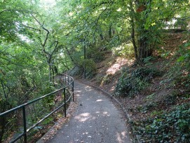 Bois de la Bâtie. Genève