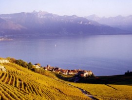 sauver Lavaux 2