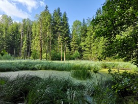 Le parc naturel périurbain du Jorat a reçu cette année le prix Elisabeth et Oscar Beugger.