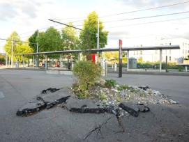 Dans le cadre de l'année thématique «La nature a besoin de la ville», de l'asphalte a été cassé près de l'Ansermetplatz afin d'attirer l'attention sur l'imperméabilisation excessive de sols précieux.