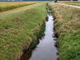 Petite Glâne VD