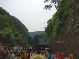 Des divinités de Naga Devatha sont également présentes à l'intérieur du sanctuaire qui se trouve à 150 km d'Hyderabad. Près de l'entrée du temple, se trouve une idole du Seigneur Narasimha.