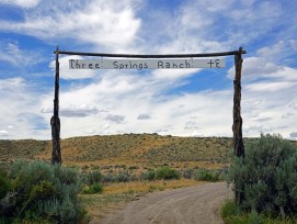 Le Three Springs Ranch une propriété au Colorado s'étendant sur 29 km où les dinosaures ont séjourné est en vente pour 15,3 millions de francs.