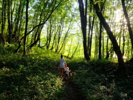 La Ville de Lausanne et  Lignum Vaud invitent le public jusqu'au 19 novembre à découvrir le rôle de la forêt et l’utilité des arbres sur notre santé par le biais d'une exposition interactive.