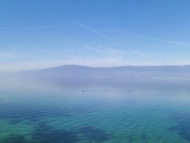 Eau lac Neuchâtel estavayer