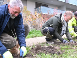 Pierre Wahlen, Municipal en charge de l’Environnement, Pascal Bodin, Chef de service, et David Erath, horticulteur-paysagiste et chef de secteur, le 30 novembre 2022, au parc de la Morâche.