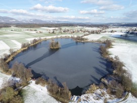 La grande île du lac d’Inkwil, un site archéologique d’importance nationale et internationale.