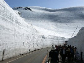 La grande vallée des neiges du Japon ouvre ses portes au public.