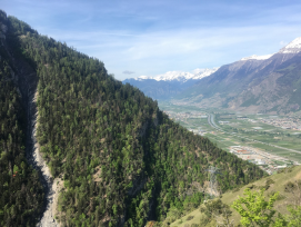 Le canton du Valais désire favoriser une évolution naturelle de la forêt par le biais de la création de réserves forestières en augmentant la diversité naturelle et maintenant certaines espèces rares au moyen de mesures ciblées.