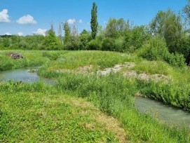 Ruisseau contournement Jogne