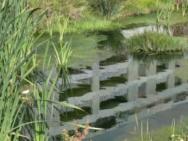 La ville de Nyon a renaturé le ruisseau le Corjon en 2021 dans la cadre de sa politique en faveur de la biodiversité et sa vision durable «Nyon s'engage».