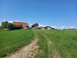 La Ville de Lausanne a sélectionné un projet d’agriculture bio en circuit court avec un magasin à la ferme à la Villa Pré-du-Châtelard.