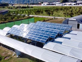 Photovoltaïque serres Conthey