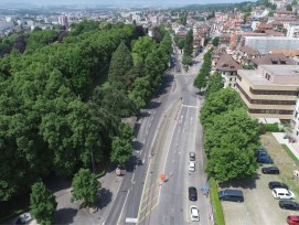 L’avenue d’Echallens et ses 1,5 km une fois requalifiée consistera en 3'000 m de piste cyclable, 3 nouvelles places de quartier et plus de 150 arbres plantés.