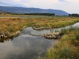 Vue de la Thièle après travaux de renaturation. Cette réalisation est un exemple à petite échelle des aménagements envisagés pour la troisième correction du Rhône.