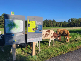 La signalétique du Parc naturel du Jorat est un outil essentiel pour la préservation de la biodiversité.